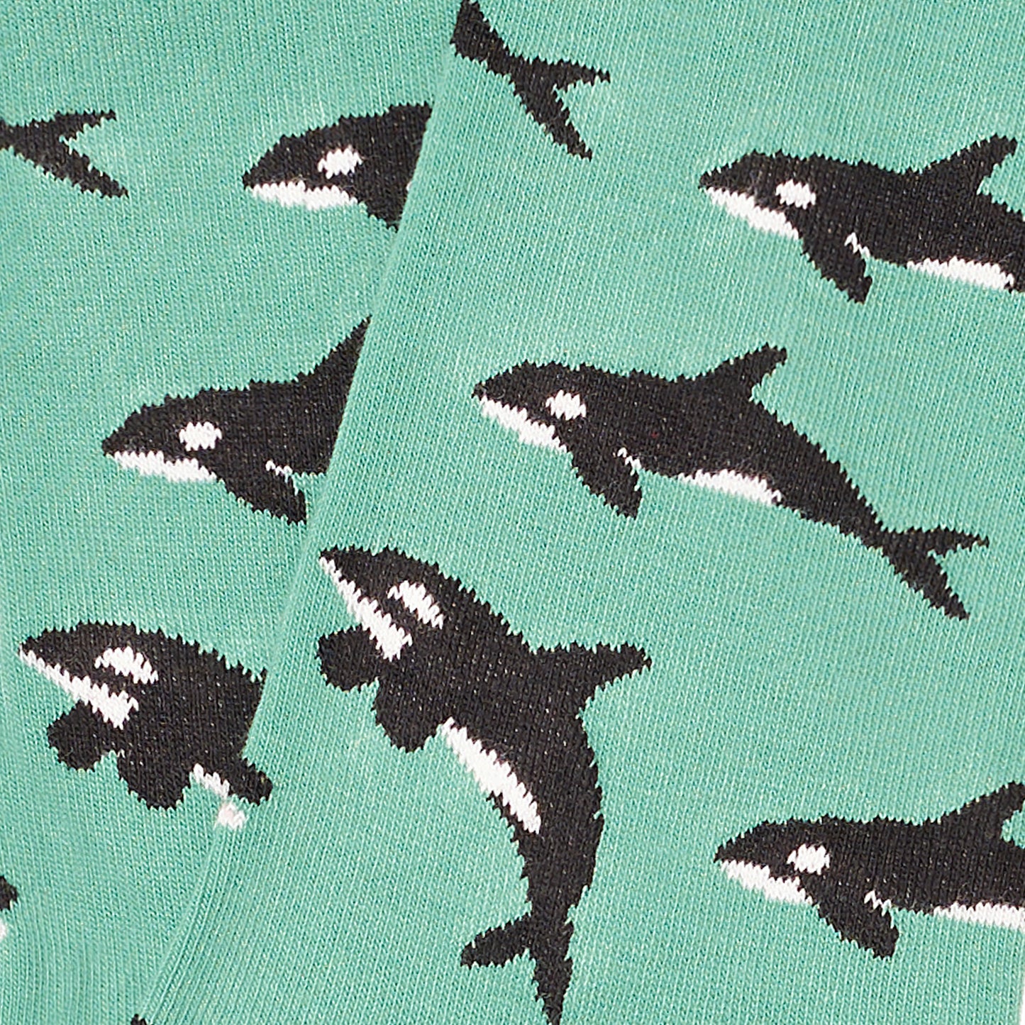 Killer Whales - Turquoise (3)