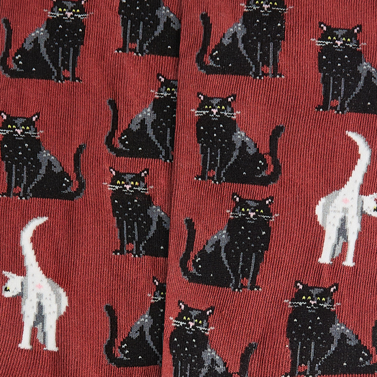 Black Cats - Terracotta Red