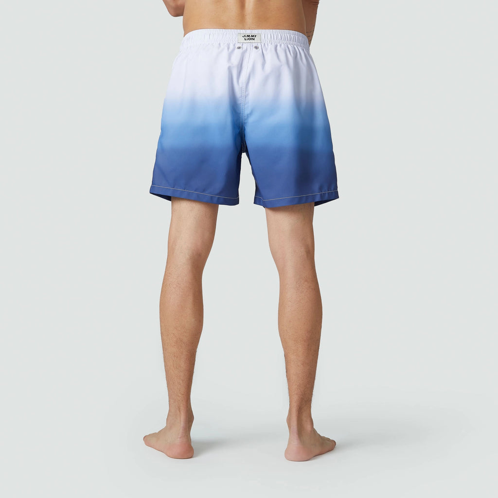 Horizon Swim Shorts - Blue