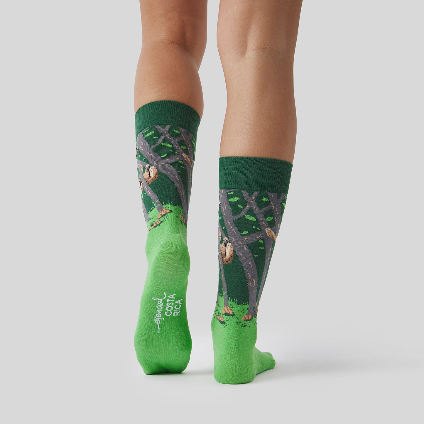 Pura Vida Sloth - Verde