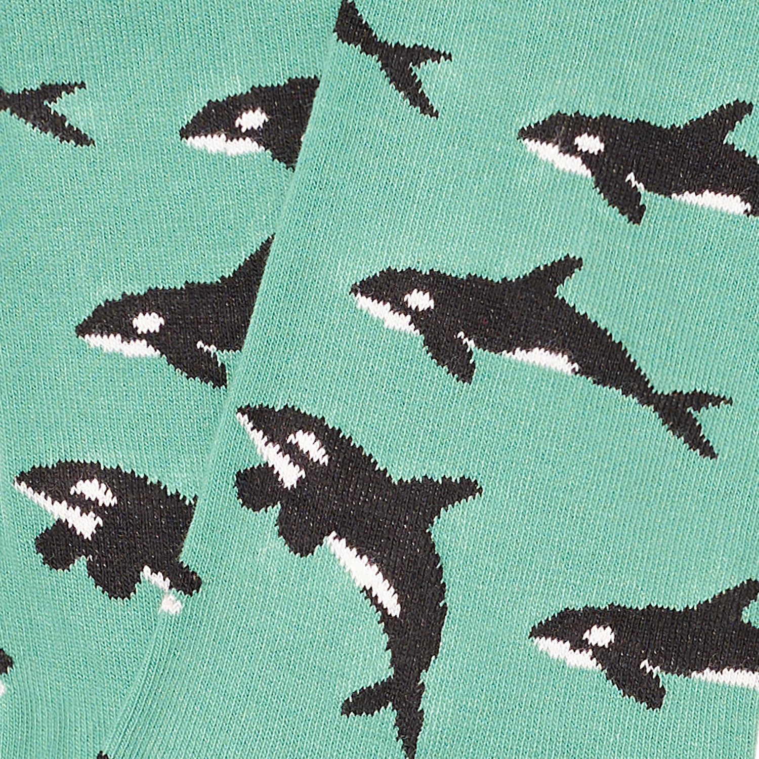 Killer Whales - Turquoise (3)