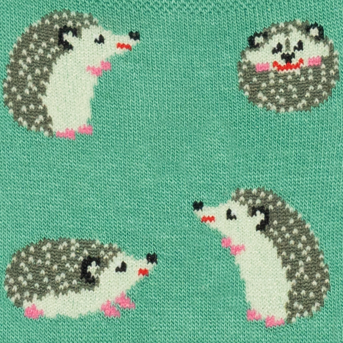 Hedgehog No Show - Turquoise (3)